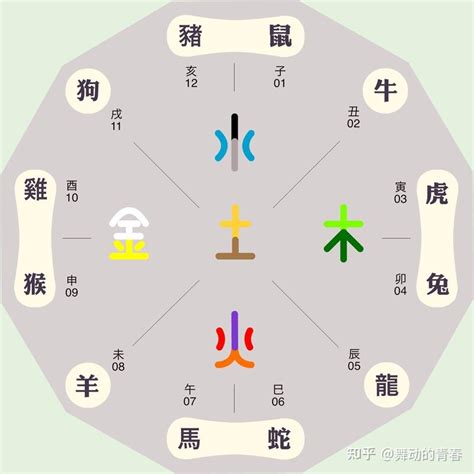 屬龍五行|生肖屬龍人的五行與財運